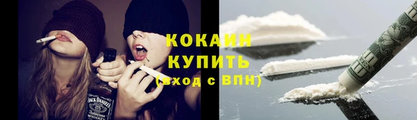 ПСИЛОЦИБИНОВЫЕ ГРИБЫ Абаза