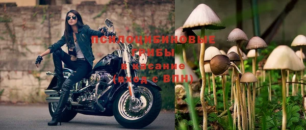ПСИЛОЦИБИНОВЫЕ ГРИБЫ Абаза