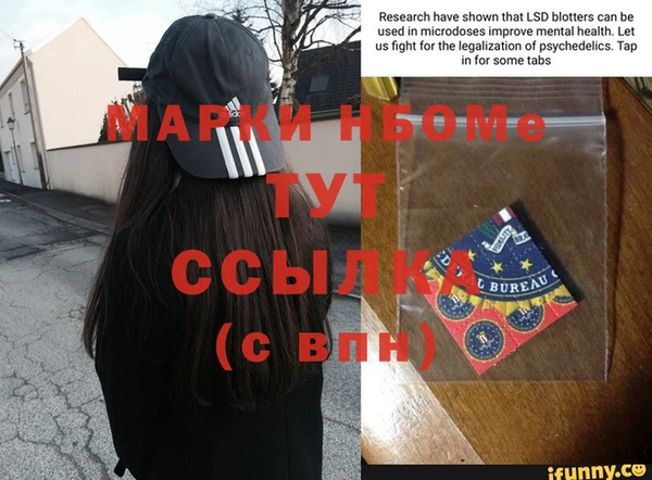 ПСИЛОЦИБИНОВЫЕ ГРИБЫ Абаза