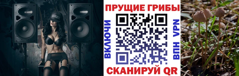 гидра вход  купить наркоту  Адыгейск  Галлюциногенные грибы Magic Shrooms 